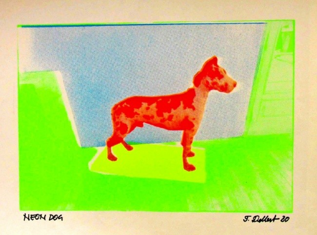 Neon dog